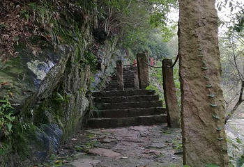 红石谷风景区第 19 张图片