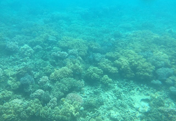 洛阳海底世界第 16 张图片