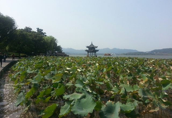 藏王墓第 5 张图片