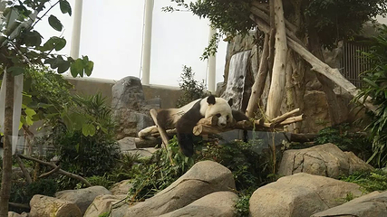 花莲海洋公园第 5 张图片