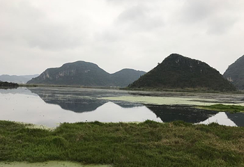 普者黑天鹅湖第 39 张图片
