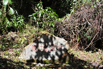 蓬壶百丈岩风景区第 14 张图片