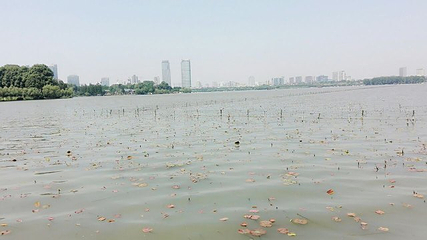 南京玄武湖游船第 16 张图片
