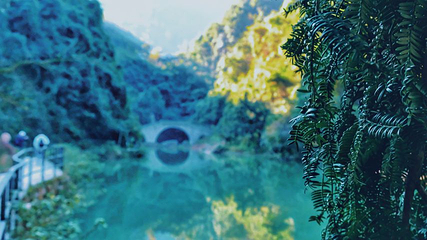 香榧森林公园第 30 张图片