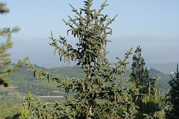 虎头山第 3 张图片