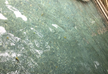 邦腊掌温泉第 15 张图片