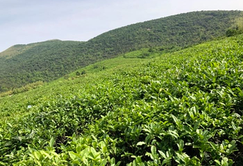龙池山第 6 张图片