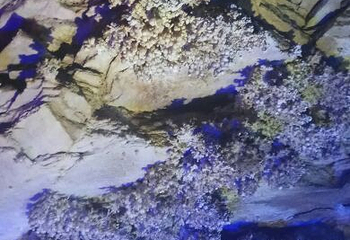 浮戏山雪花洞景区第 21 张图片