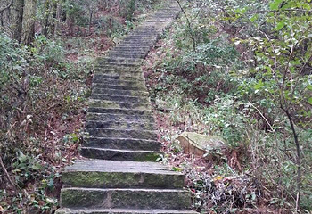 湖北三角山旅游度假区第 44 张图片
