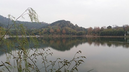 花乡茶谷旅游景区第 70 张图片