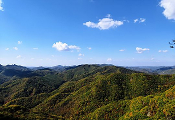 天女山森林公园第 33 张图片