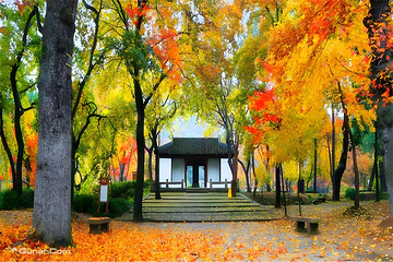 寒山寺第 173 张图片