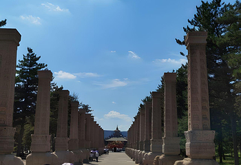 悬空寺第 199 张图片