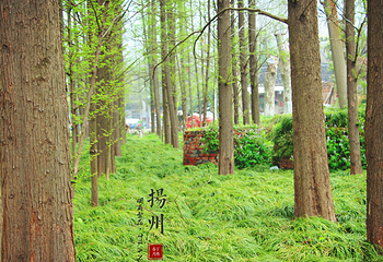 扬州大学(荷花池校区)第 12 张图片