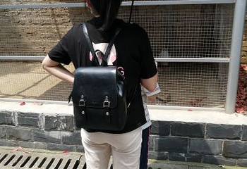 柏乐园第 31 张图片