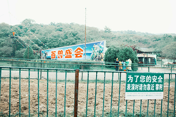 浦口珍珠泉野生动物生态园第 14 张图片