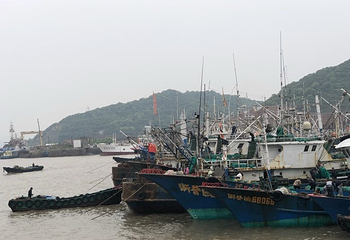 沈家门渔港第 27 张图片