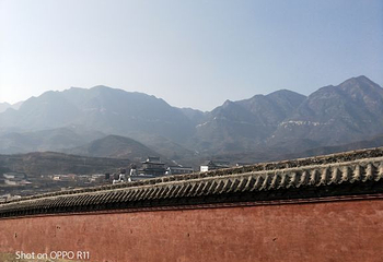 扁鹊庙第 16 张图片