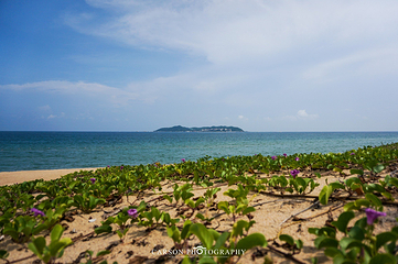 海棠湾第 146 张图片