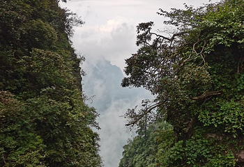 峨眉山-源头温泉第 8 张图片