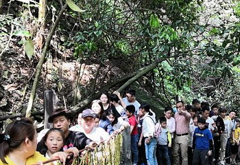 皇龙大峡谷第 44 张图片
