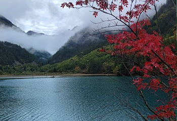 红原—若尔盖大草原第 26 张图片