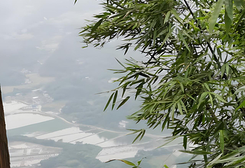 蜀南竹海第 81 张图片