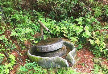 龙山岛第 23 张图片