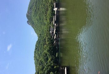 桃花岛风景区第 31 张图片