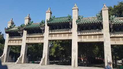 袁林第 35 张图片