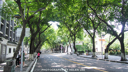 中山四路第 11 张图片