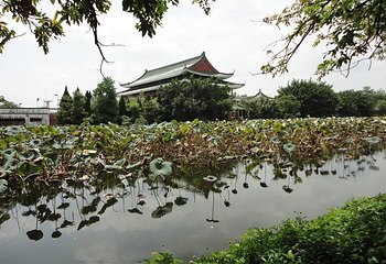 榕江西湖公园第 9 张图片