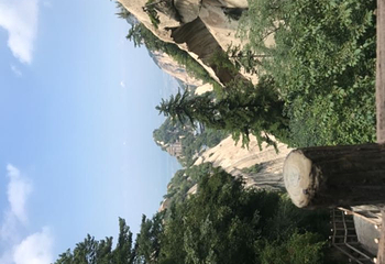 华山特产第 18 张图片