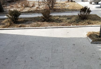 崇兴寺第 7 张图片