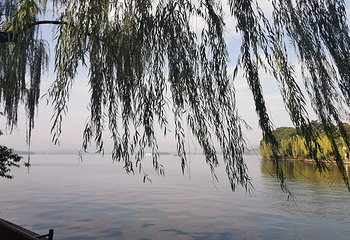 西湖天地第 8 张图片
