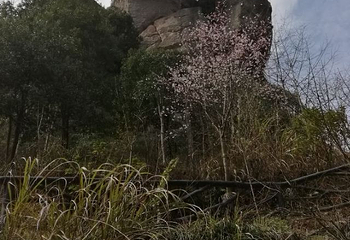 天烛湖仙境景区第 24 张图片