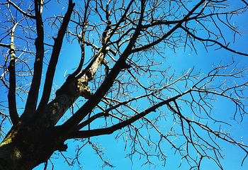 大理将军洞第 3 张图片