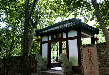 茅蓬自然保护区第 19 张图片