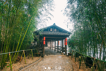 彩虹桥第 28 张图片