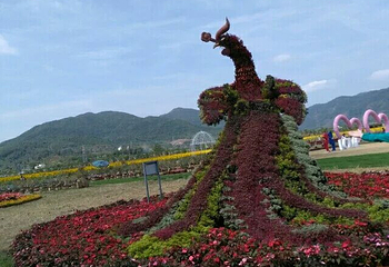 凤凰花海第 35 张图片