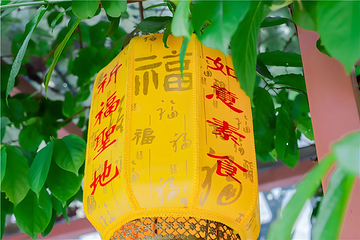 观音山旅游风景区第 142 张图片