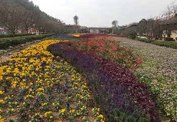 花海欢乐世界第 23 张图片