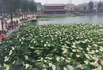 凌海花园温泉第 20 张图片