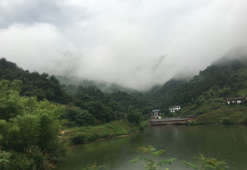 天紫漂流第 21 张图片