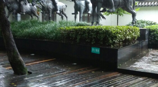 金孔雀相思林风景区