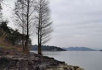 红枫湖风景区第 20 张图片