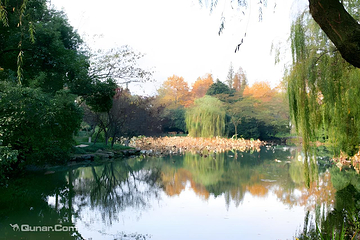 西湖风景名胜区第 46 张图片