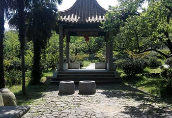 雨花胜境第 34 张图片