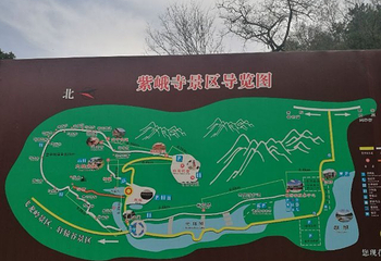 陕西黄陵国家森林公园第 41 张图片