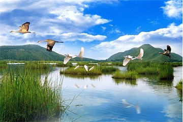 北海湿地第 43 张图片